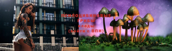 наркотики Осташков