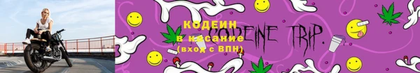 ешки Осинники