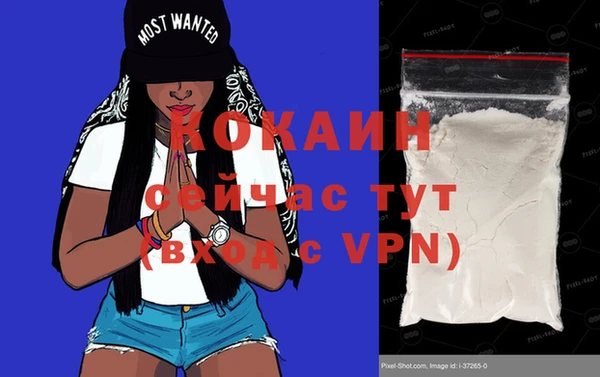 ешки Осинники